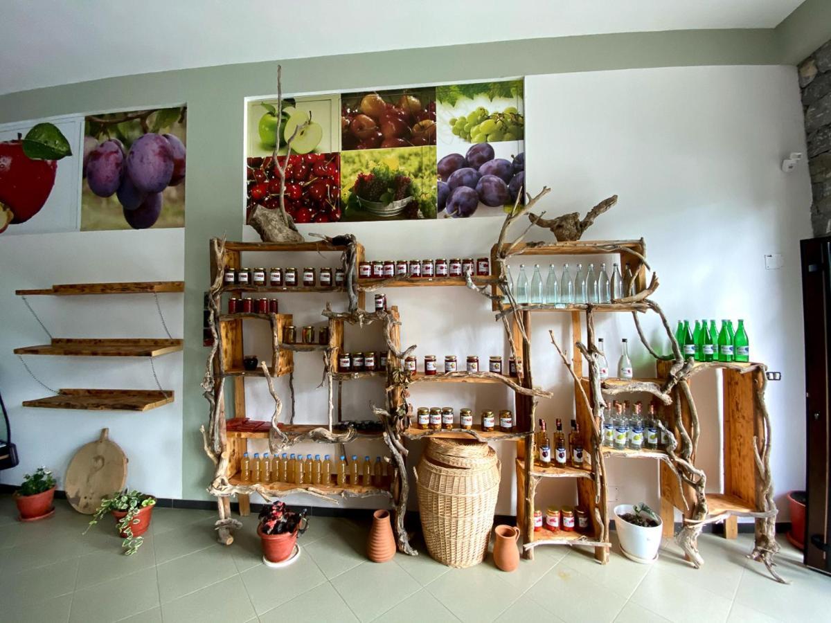 Nena Dashuri Agroturizem Peshkopi Exterior photo
